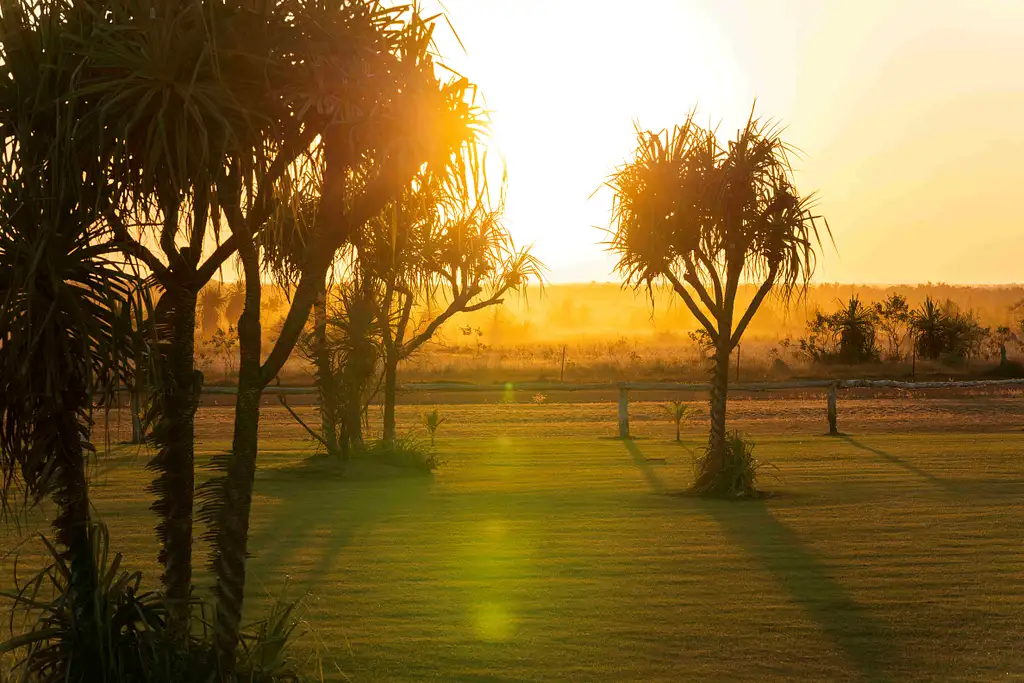 Top End Safari Camp Day Tour