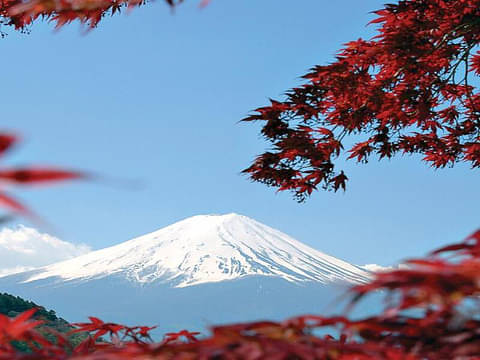 9 Day Japan Express Tour