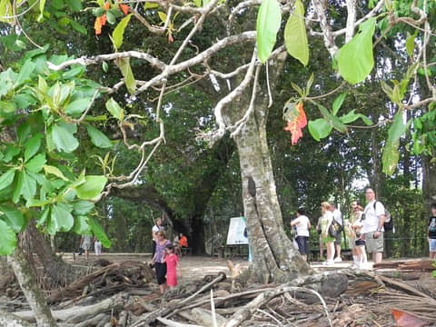 Manuel Antonio National Park San Jose Tour