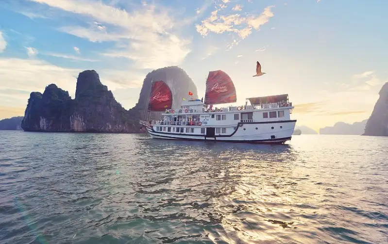 8 Day Vietnam Vacay with Laura Elizabeth | 14 July 2024