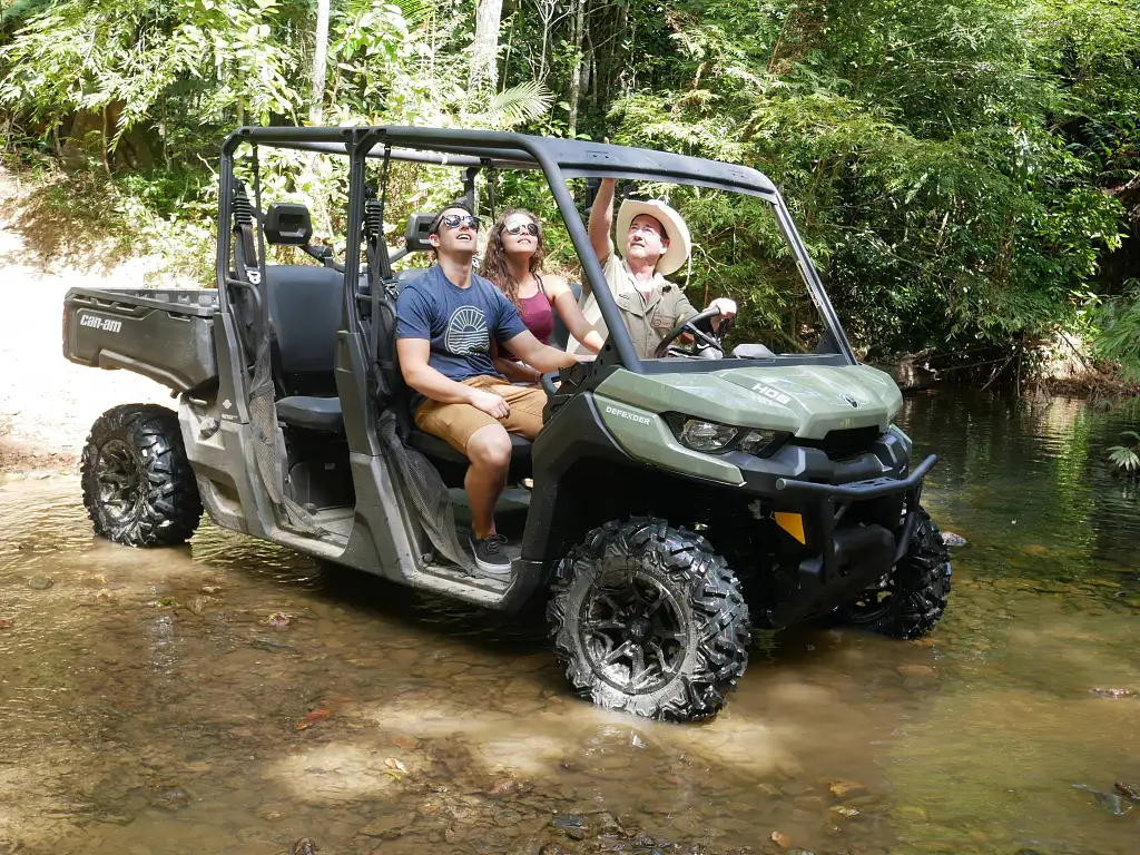 1 Hour Rainforest Buggy Tour