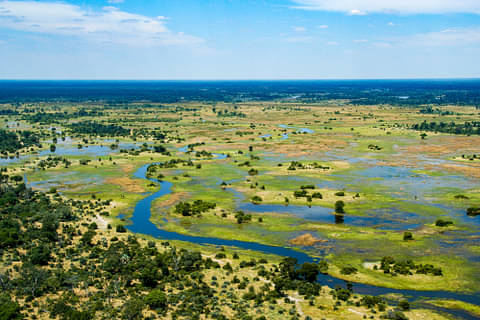 Best Southern Africa Safari
