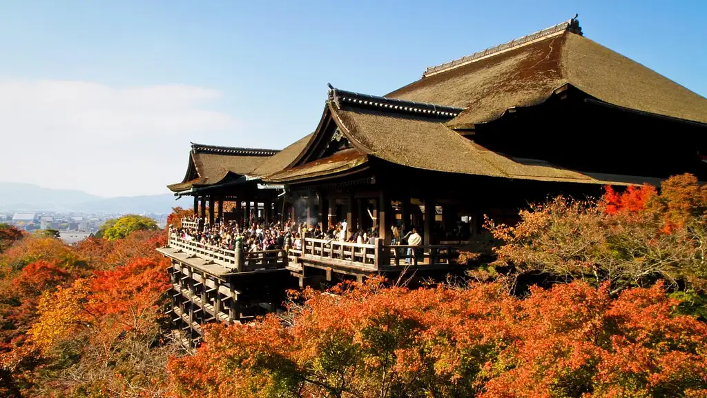 6 Day Japan: Tokyo Nights & Kyoto Temples | G Adventures 18 to 30somethings