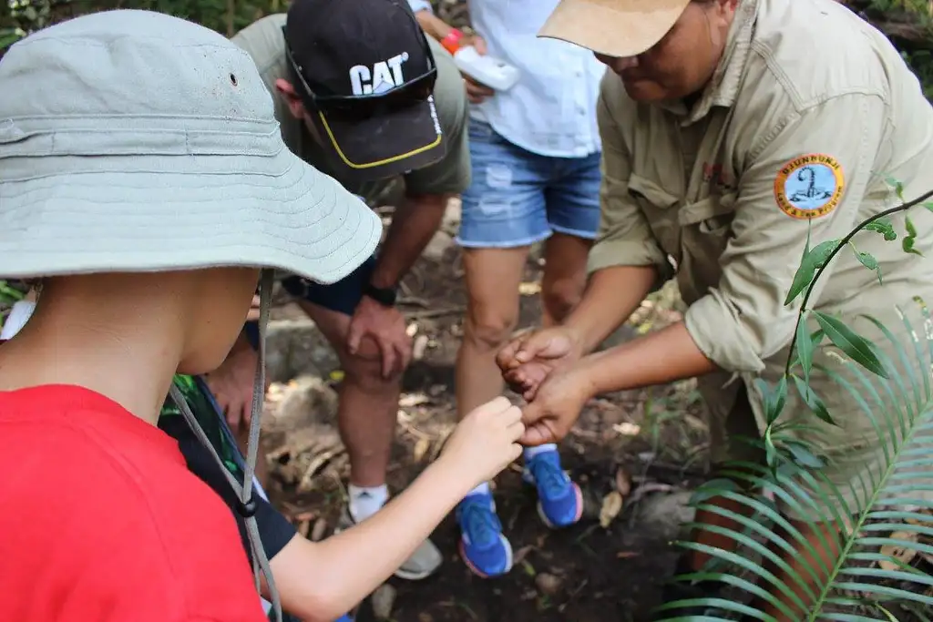 Small Group Indigenous Cultural Experience & River Cruise - Cairns