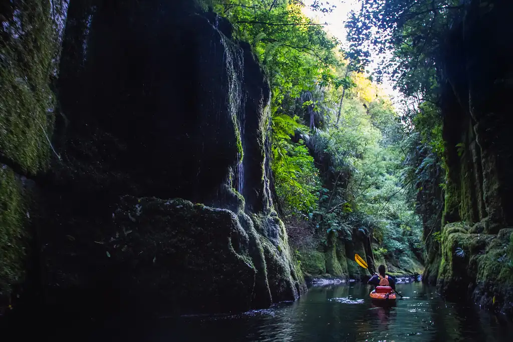 Scenic Lake Mclaren Kayak Tour