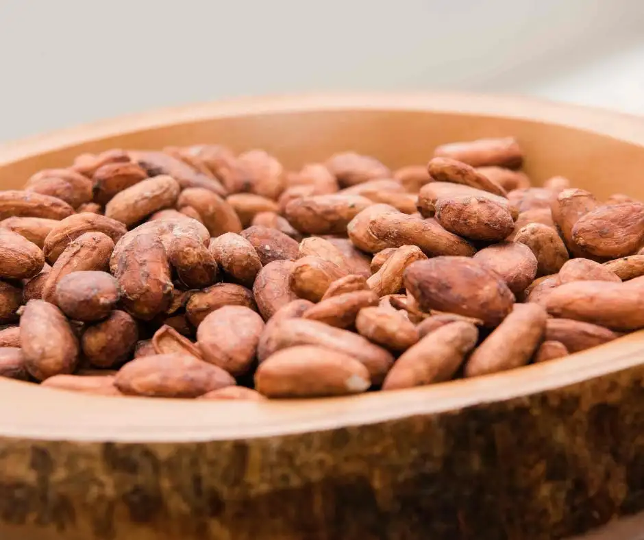 Chocolate Tour At The Chocolatarium