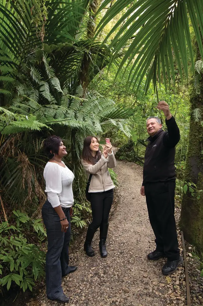 Aranui Cave Tour