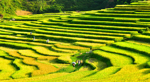 treking ruong bac thanh