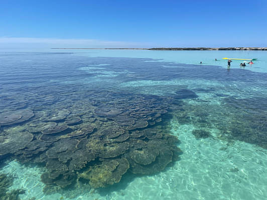 full day cruise abrolhos islands