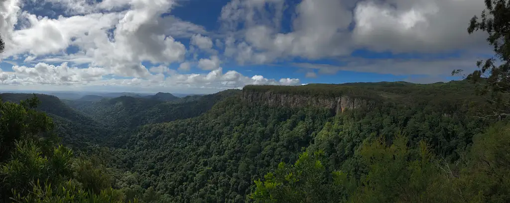 Springbrook Full Day Tour from Brisbane