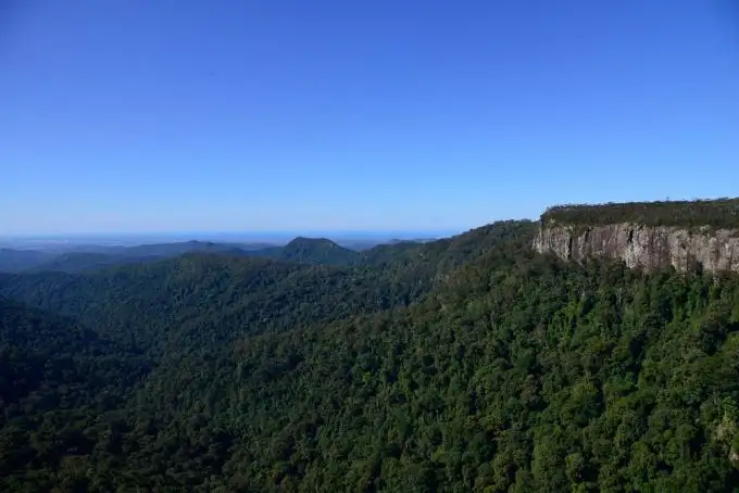 Springbrook National Park 1 Day Tour