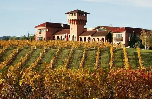 Hop-on Hop-off Wine, Beer, Food & Wonders Tour of Marlborough | From Picton or Blenheim