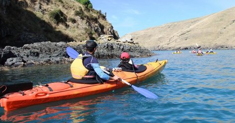 4WD & Scenic Kayaking Tour Pohatu Marine Reserve