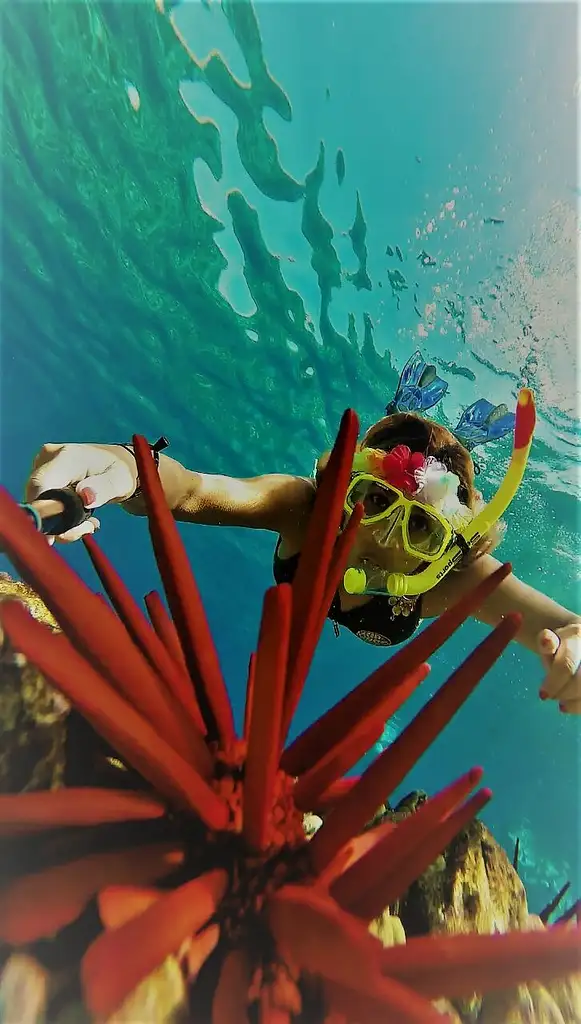 Molokini Crater & Turtle Cove Snorkel Tour