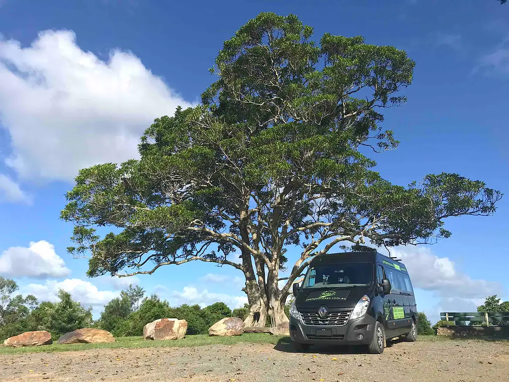 Noosa Hinterland with Gourmet lunch & Wine tasting - Day Tour