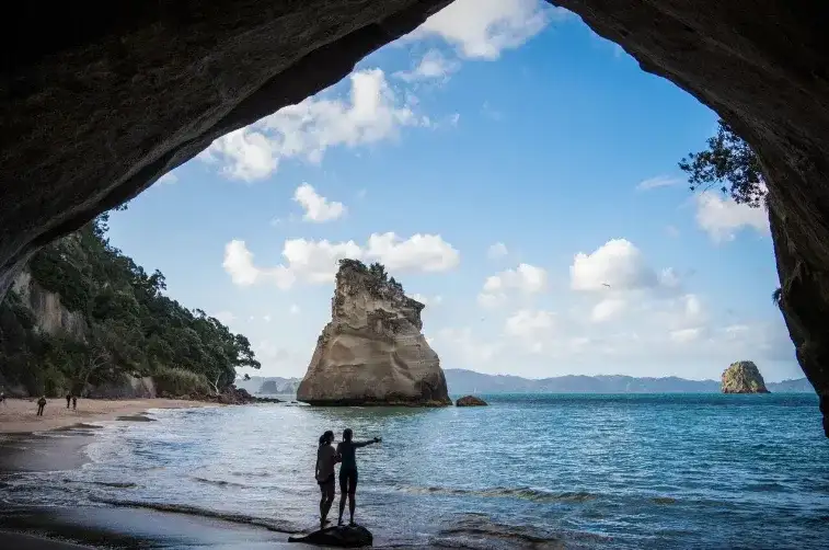 'Funky Chicken' Bus Pass | North & South Islands | Kiwi Experience