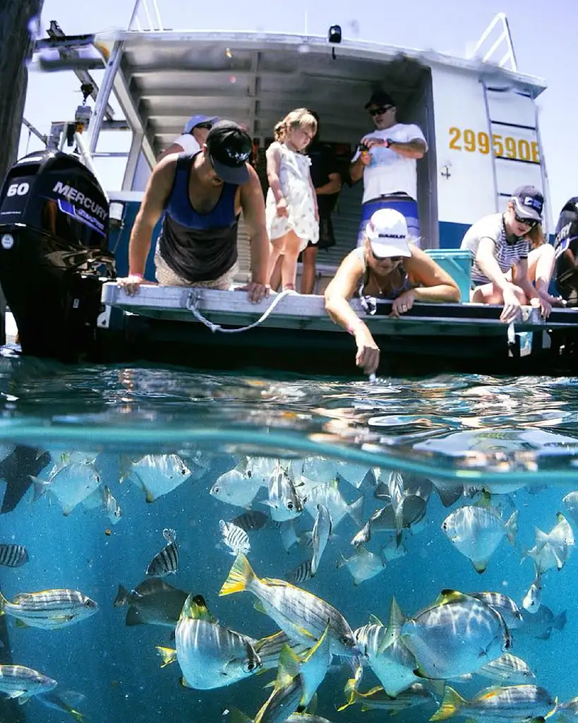 Great Keppel Island Coral & Marine Combo Tour
