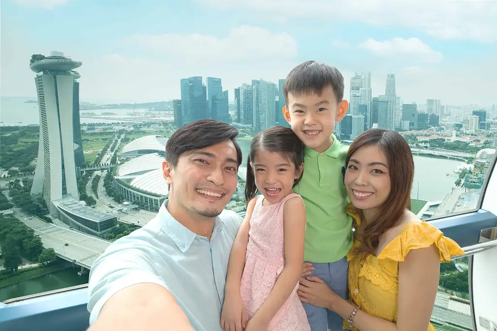 Singapore Flyer Observation Wheel and Time Capsule Entry Ticket