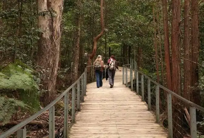 Blue Mountains & Featherdale Full Day Tour
