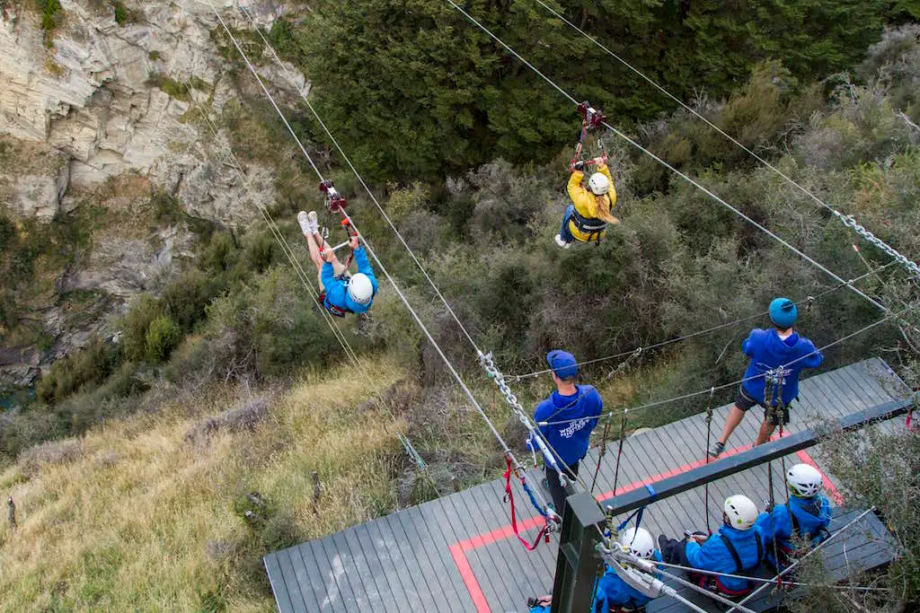 Shotover Canyon Fox