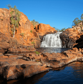 Kakadu