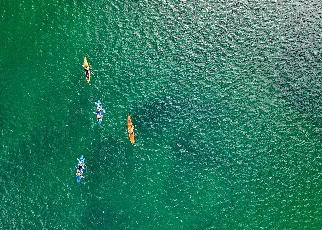 Morning Dolphin Kayaking & Snorkelling Tour