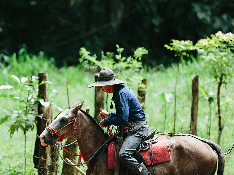Horseback Riding Tocori Waterfalls & Ranch