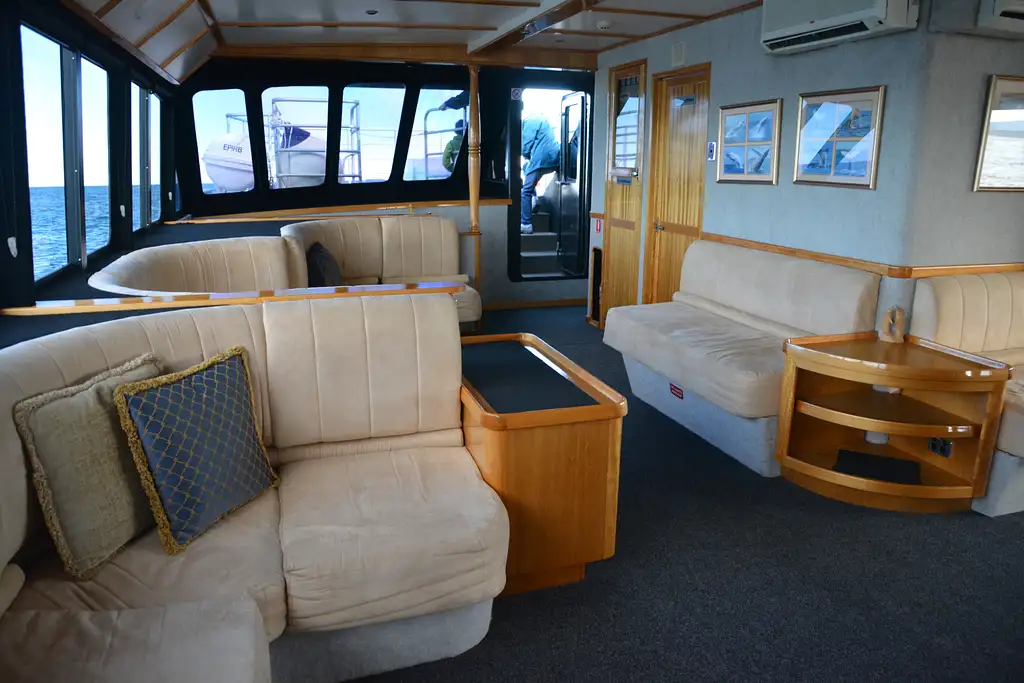 Whale Watch Experience AUGUSTA