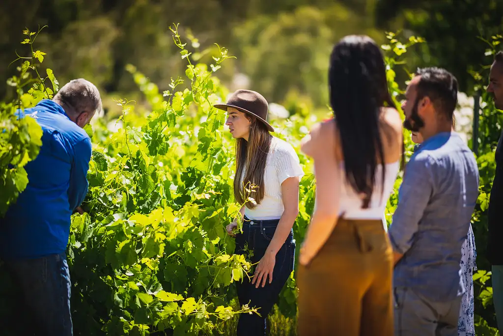 Cider, Wine and Whiskey Full Day Tour from Perth