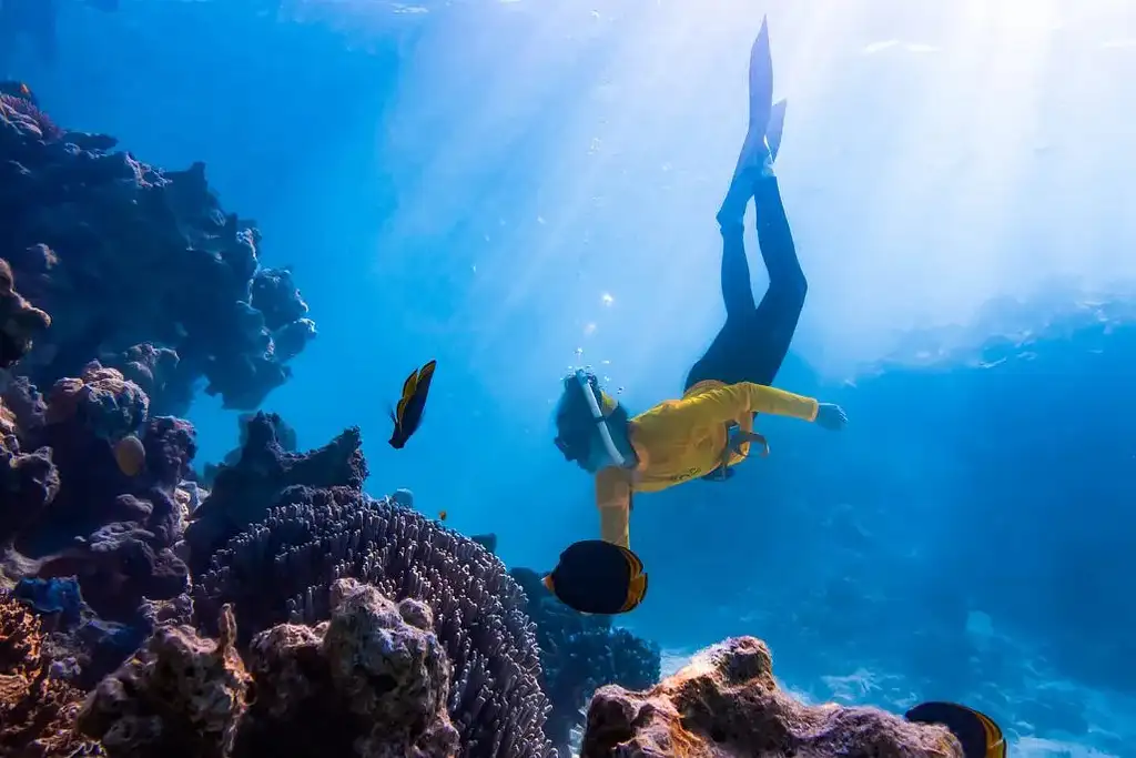 Lady Musgrave Experience Southern Great Barrier Reef Full Day Tour - Departs Bundaberg