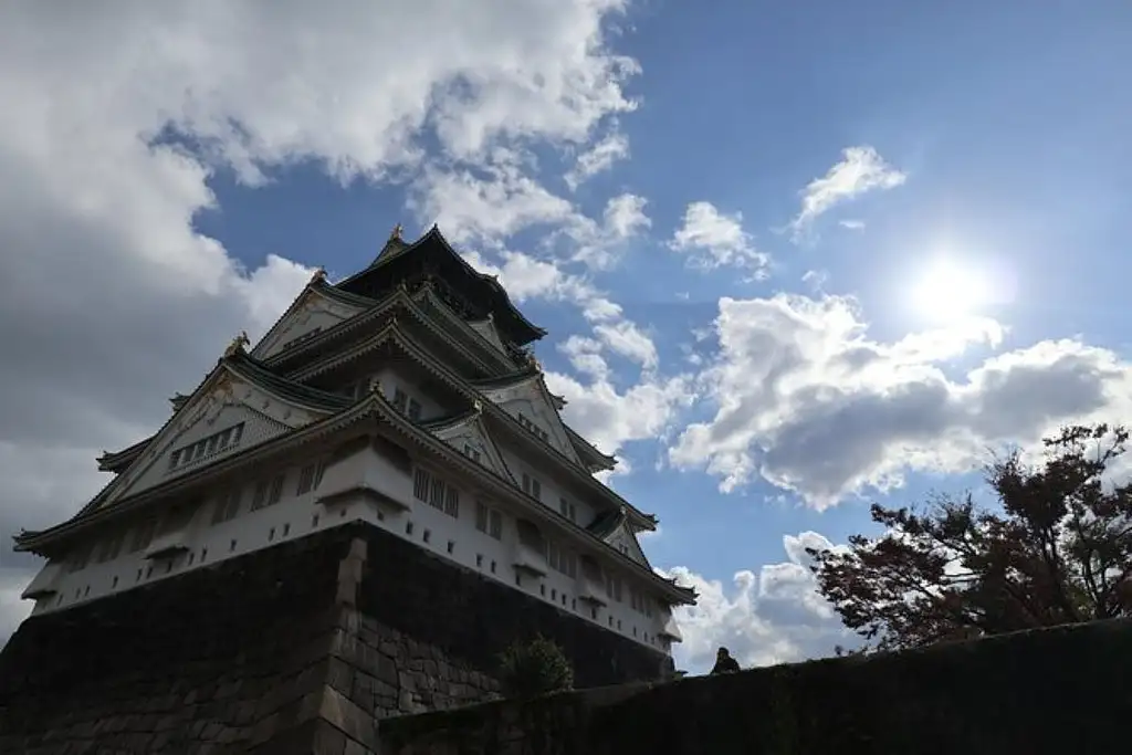 Bike Tour to Osaka Castle and Park Area