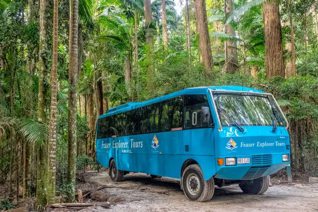 4 Day 3 Night K'gari Experience Tour + Illumina Light Show | From Hervey Bay
