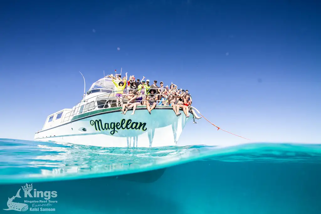 Whale Shark Snorkelling Adventure Tour (Apr-July) | Departing Exmouth