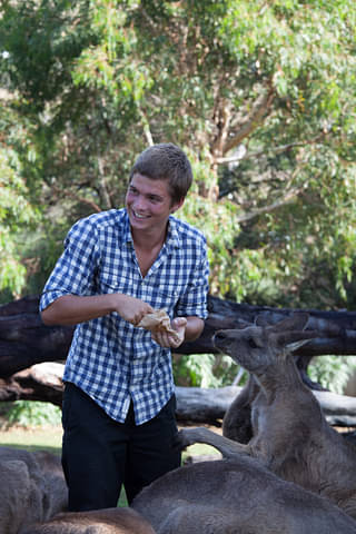 tour tasmania wildlife