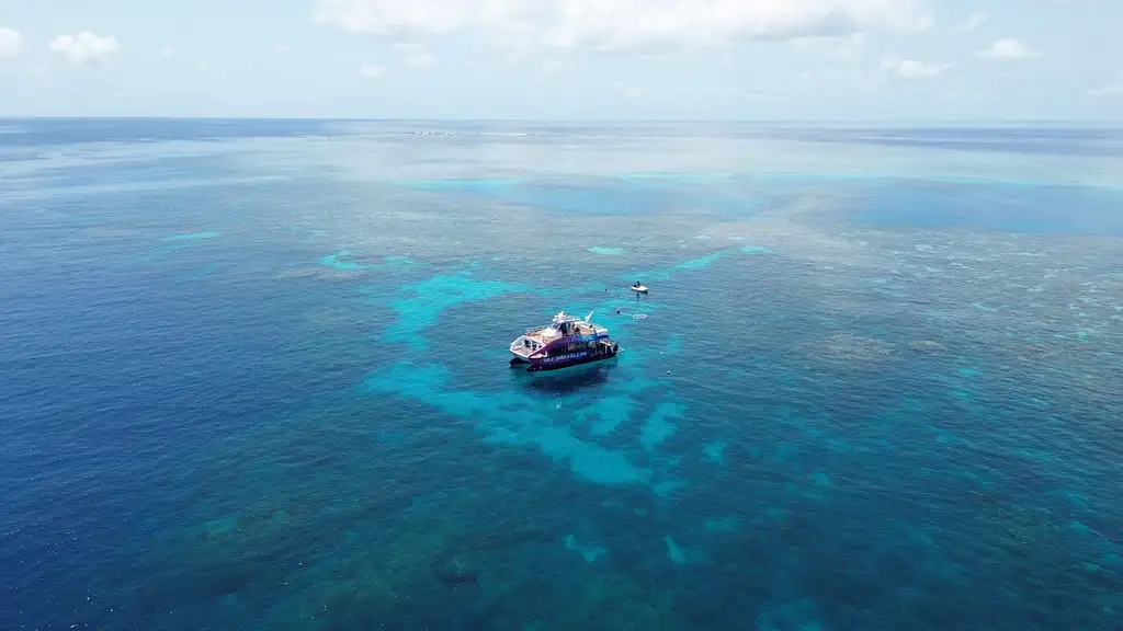 Half Day Snorkelling Great Barrier Reef From Cairns | Escape the Crowds!