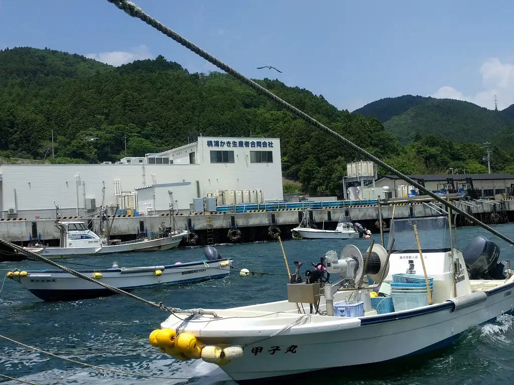 90-Minute Art Cruise in Ishinomaki (Aug & Sep)