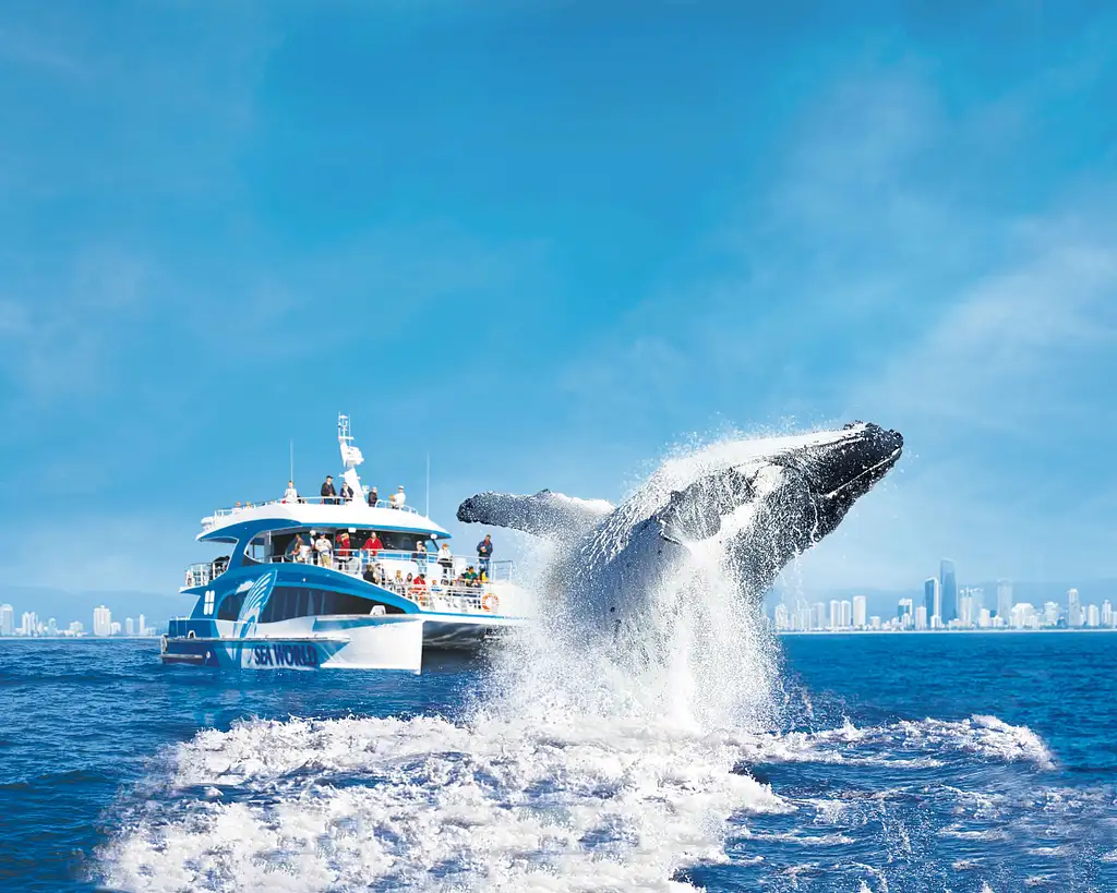 Hot Air Balloon & Vineyard Breakfast + FREE Whale Watch Cruise | Gold Coast