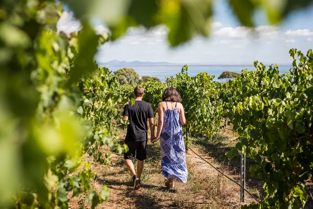 Around the Bay Food and Wine Taste Trail