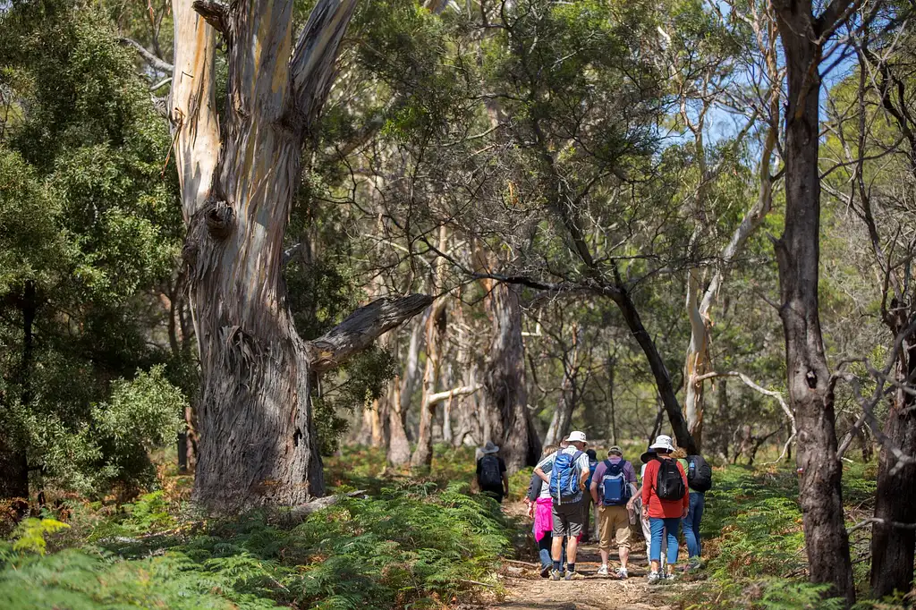 Maria Island Day Tour From Hobart