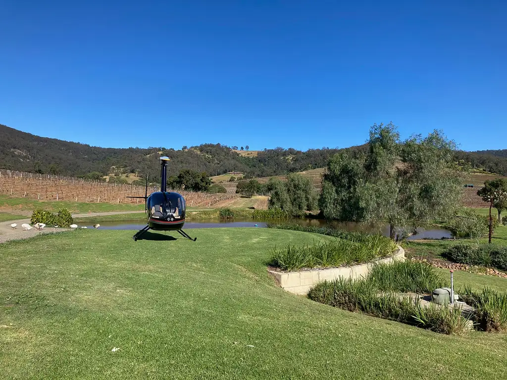 Helicopter Picnic Among the Vines
