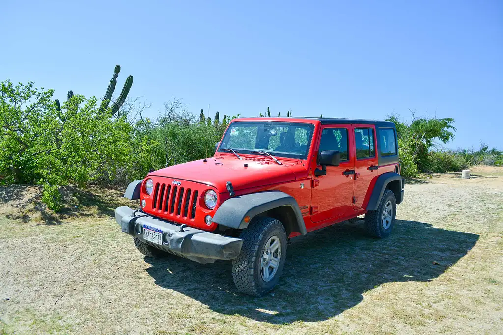 4WD Jeep Ride - National Park of Cabo Pulmo