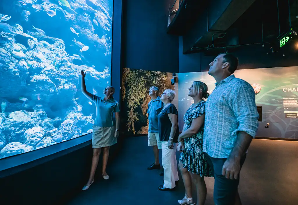 Cairns Aquarium by Twilight Tour + Dining Experience