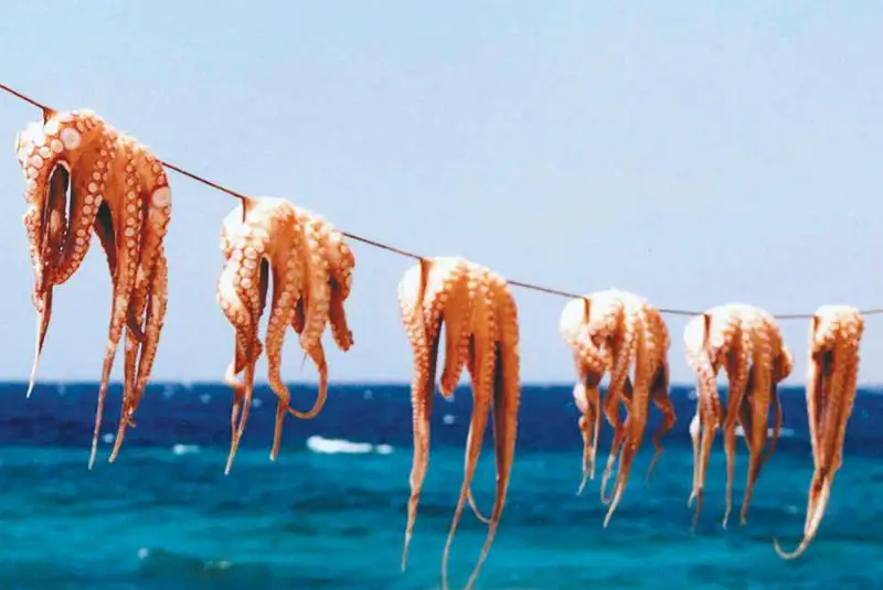 8 Day Adventure: Athens to Santorini
