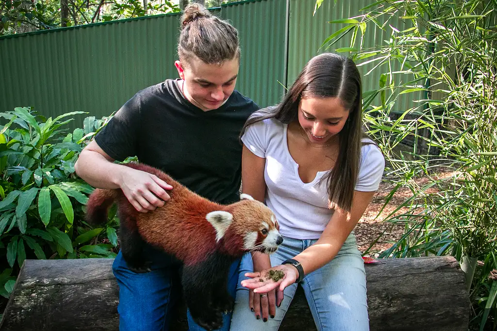 Currumbin Wildlife Sanctuary Shuttle Service | Transport only