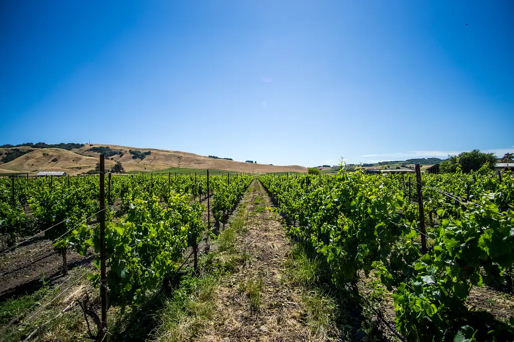 Full Day Wine Country Tour - Napa & Sonoma Valley