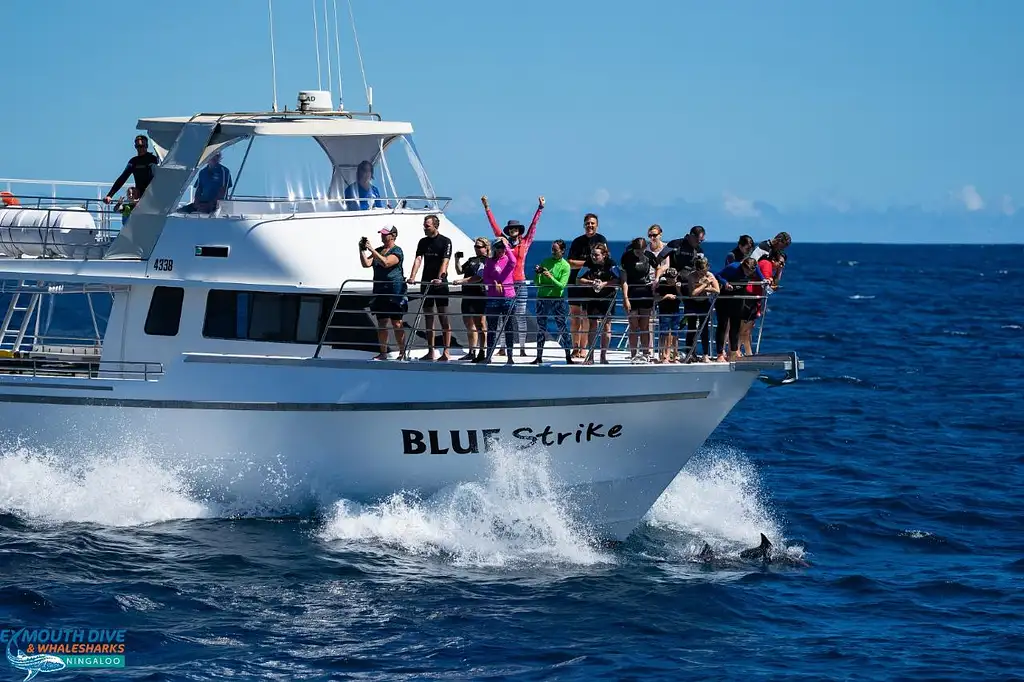 Whale Watch Sunset Cruise | Departing Exmouth