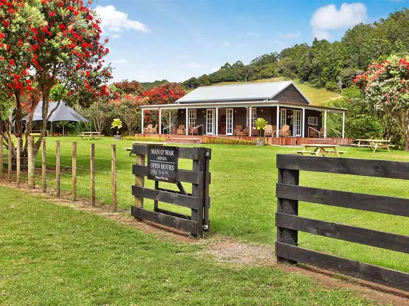 Waiheke Wine & Fishing Tour
