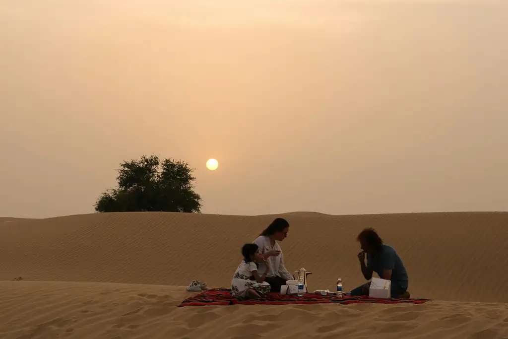 4x4 Sunrise And Wildlife Desert Safari With Picnic From Dubai