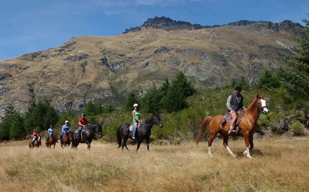 Walter Peak Horse Treks | Queenstown
