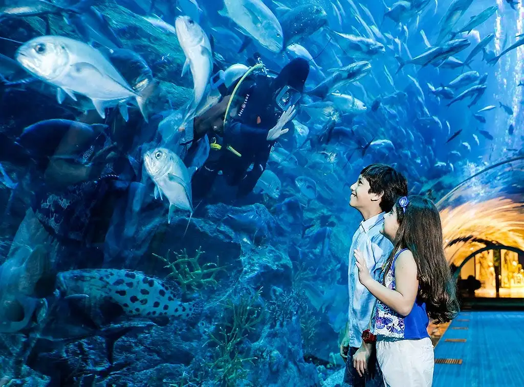Burj Khalifa Floors 124, 125 And Dubai Aquarium Tickets